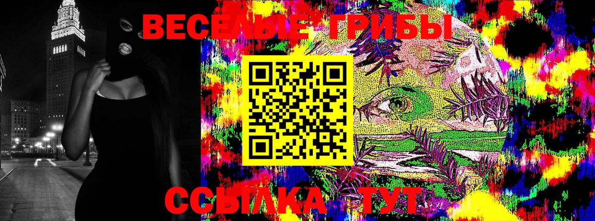 Галлюциногенные грибы Psilocybine cubensis  где купить наркотик  Избербаш  Галлюциногенные грибы Magic Shrooms  Вход с VPN 