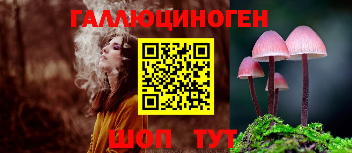 Псилоцибиновые грибы прущие грибы Избербаш